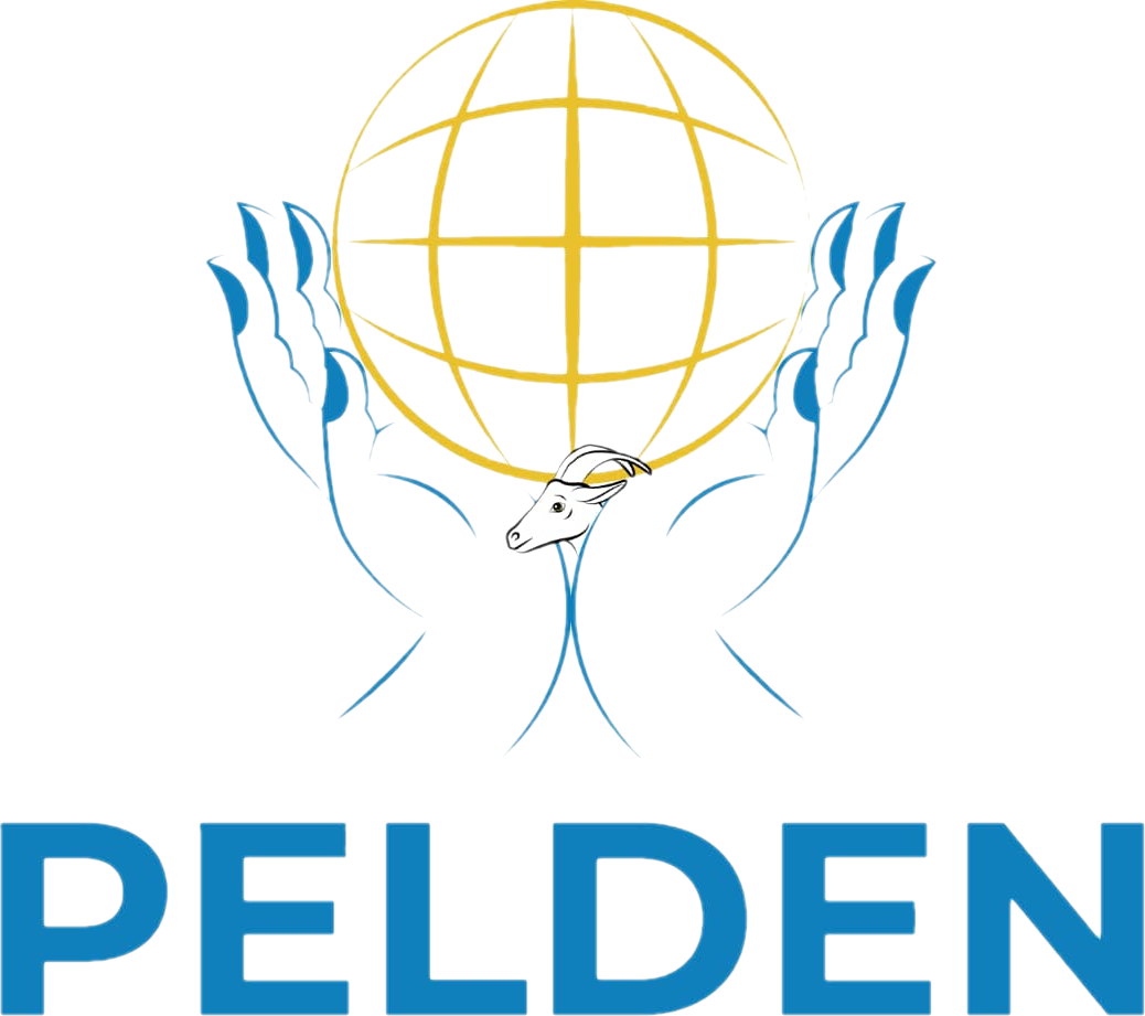 Pelden Group